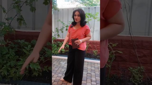 #недвижимость #дом #гостиница #shorts смотреть онлайн