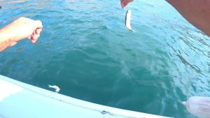 РЫБАЧИМ В ОТКРЫТОМ МОРЕ В КРЫМУ //ГОТОВИМ РЫБУ НА БЕРЕГУ МОРЕ