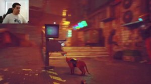 Прохождение Stray #5: Мидтаун