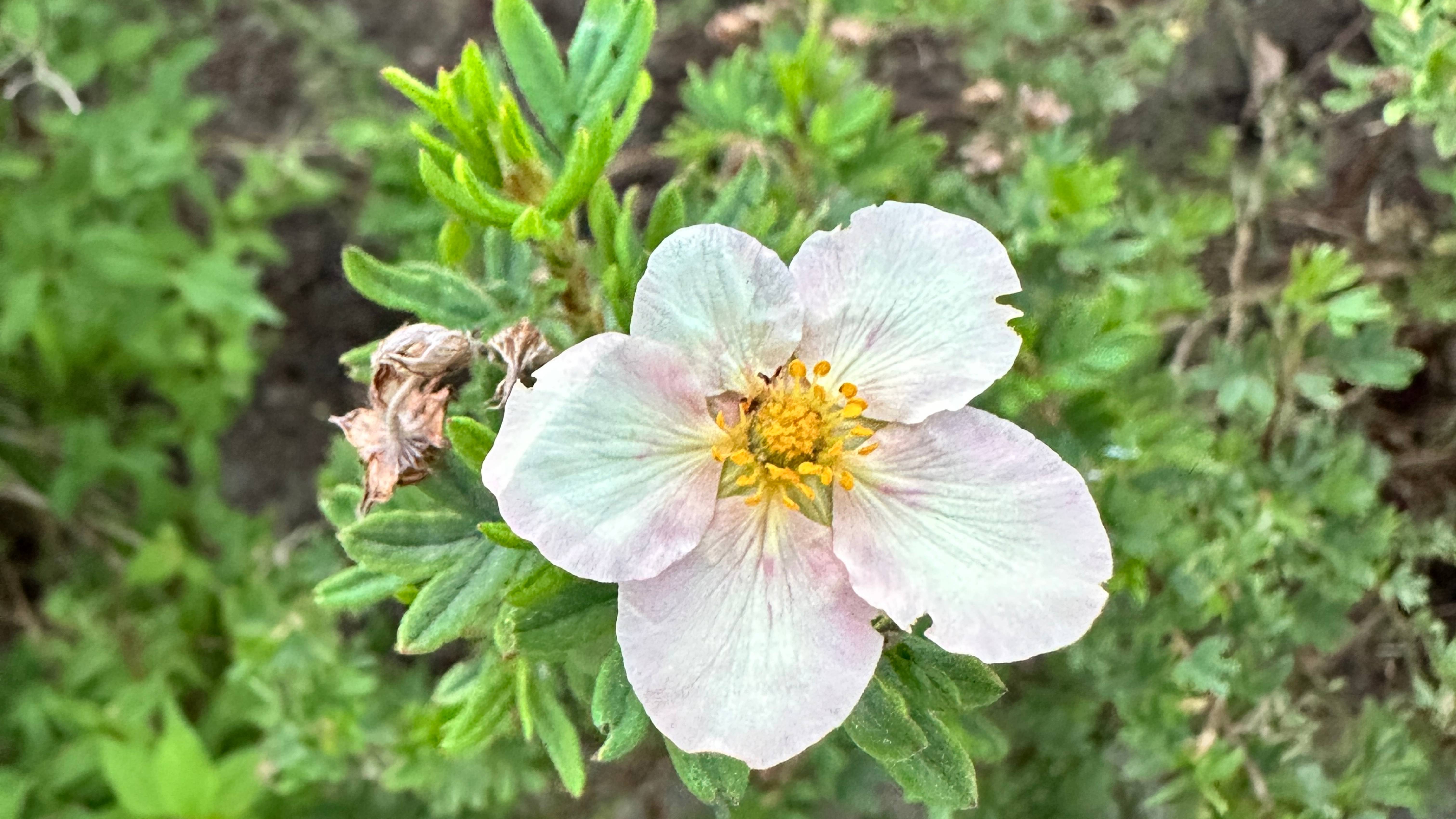 🌿Живите здесь и сейчас