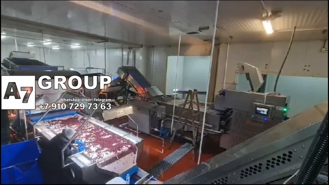 Как увеличить урожайность сада: эффективная линия удаления косточки вишни до 6 т/ч