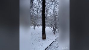 Первый снег ❄️