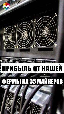 ПОСТАВИЛИ ФЕРМУ на 35 МАЙНЕРОВ | СКОЛЬКО ПОТЕРЯЛИ И СКОЛЬКО ЗАРАБОТАЛИ НА АСИК МАЙНЕРАХ БИТКОИНА?