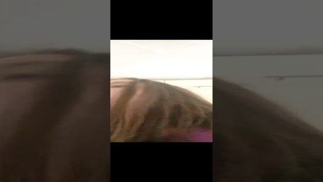 даю лекарство