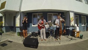 Orange Jam Chameleon