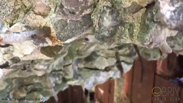 ДОТ №130 смотреть онлайн