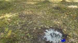 Поход в лес.По Мордовским лесам с племянником.День 2