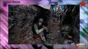 Экс-снайпер ВСУ: украинская армия не может соответствовать стандартам НАТО