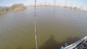 ОТКРЫТИЕ СЕЗОНА ОТКРЫТОЙ ВОДЫ 2016