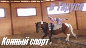 Конный спорт в Тарусе ВОЛЬТИЖИРОВКА Vlog