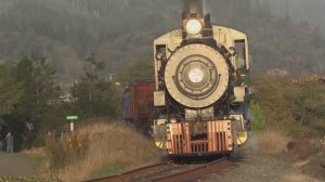 Мы едем, едем, едем в далёкие края...