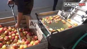 Мобильная линия для переработки яблок на сок прямого отжима с последующим розливом в упаковку BIB.