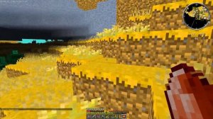 СОЛНЕЧНЫЙ ШТОРМ//ДИКИЙ ЛЕС//MINECRAFT//COOP#5