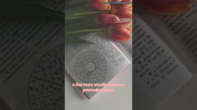 Обучение "Аркан Коды"