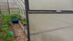 Снег 8 мая 2024 года.