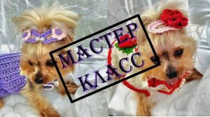 Мастер-класс  Вяжем крючком заколки клик клак для собак