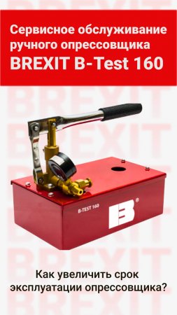 Servisnoe_opressovshika_B-Test_160_shorts_brexit