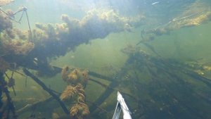 Подводная охота 16 09 23