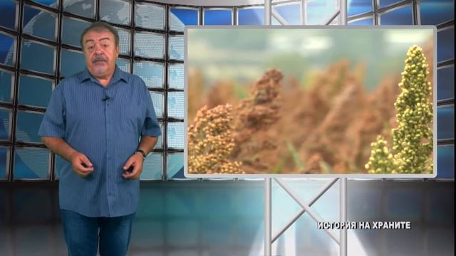 АГРО ТВ - История на храните № 150 - Да яхнем метлата - Алеко Дянков смотреть онлайн