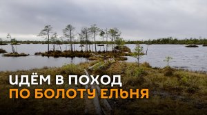 Почувствовать себя "полесским робинзоном" можно и на севере Беларуси