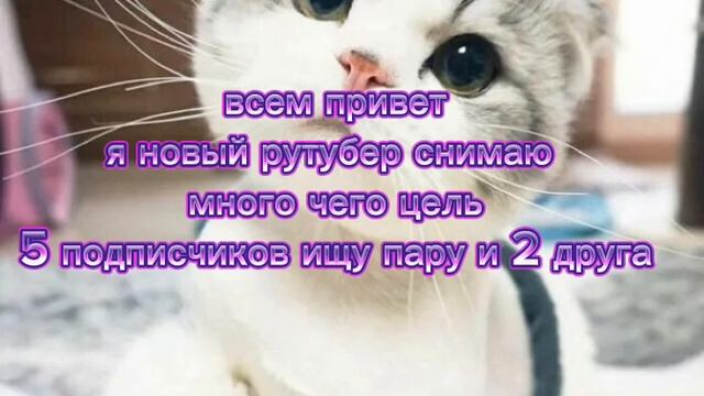 примите?