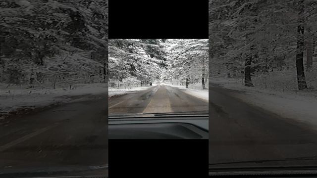 Зимой на лесной дороге.