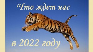 С Годом Тигра 2022