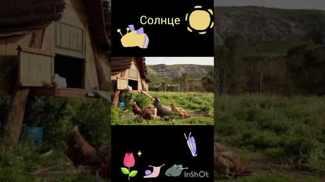 Летний день.
