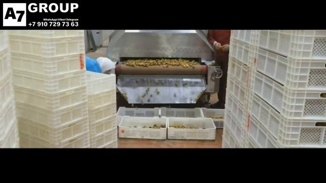 Поточные низкотемпературные микроволновые сушилки премиум класса