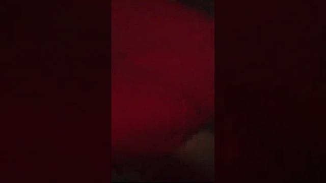 Как Заработать Голду В Standoff 2 💲🤑💸 #standoff2 #zlod1ey #подпишись #стандофф2 #обнова #distowin смотреть онлайн