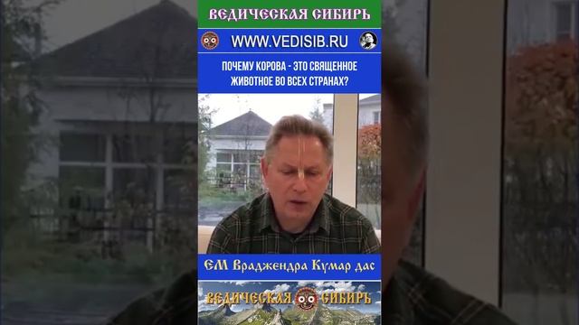 Почему Корова - это священное животное во всех странах?