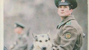 На ветру дождевом. Песня советских пограничников