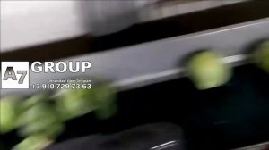 Капуста: калибровка, удаление листа #капуста #калибровка