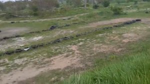 Team losi 5ive-t vs hpi Baja 5t