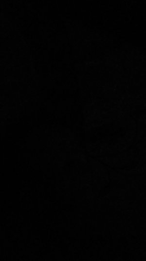 трансляция вопрос ответ