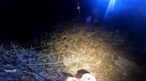 Монтаж который реально ловит сазана! Рыбалка на среднем канале.