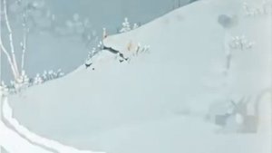 Чемпион. Мультфильм. 1948г.