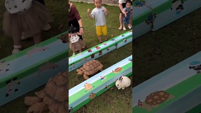 Trading Race #trading #tradingprofit #tradingtips смотреть онлайн