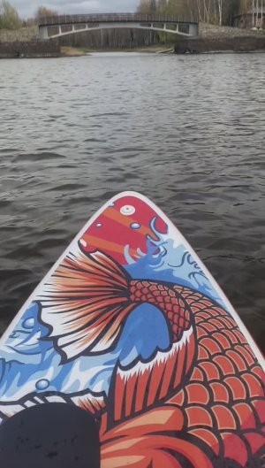 Sup board Сап борд с мощным мотором