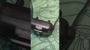 электронный ошейник для собак.mp4