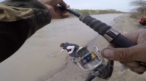 Рыбалка на тереке, сазан на жмых.