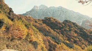 СТАРЕЦ ТИХОН АФОНСКИЙ-2