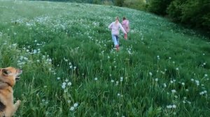 4302853-hd_1920_1080_30fps