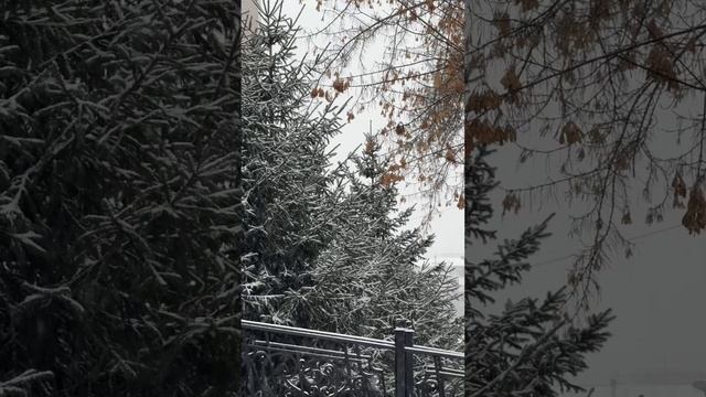 Во ВСГУТУ полный джингл беллс 🌲❄️