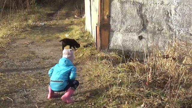ЗАГОРЬЕ 26.10.2021