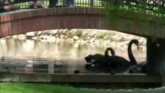 Днепров Анатолий Милая смотреть онлайн