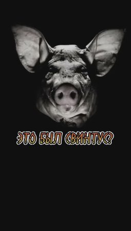 Это был свинтус / Мистическая история