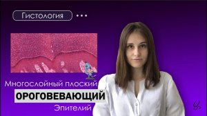 Гистология | Многослойный плоский ороговевающий эпителий