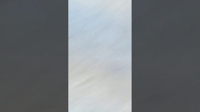 Дом в Геленджике в 15 минутах от Набережной #недвижимость #геленджик #домуморя #shorts смотреть онлайн