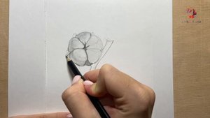 Рисуем Хлопок в Графике!